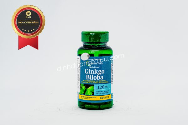 Ginkgo Biloba được sử dụng để giúp nâng cao sức khỏe của tuần hoàn não, chống hình thành cục máu đông, chống lại lão hóa và nguy cơ đột quỵ