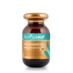 Spring Leaf Glucosamine 1500 Plus Chondroitin – Viên uống hỗ trợ SỨC KHỎE XƯƠNG KHỚP