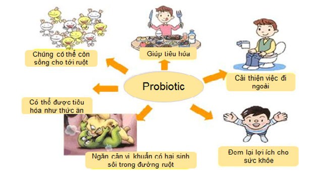 Mineral Probiotic 55 Billion 