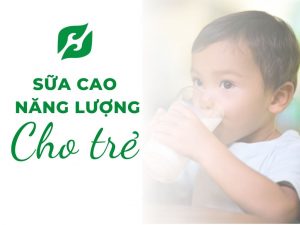 Read more about the article Chọn Sữa Cao Năng Lượng Cho Trẻ Từ 1 Tuổi Sao Cho Đúng?