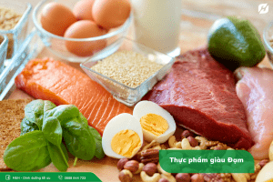 Thực phẩm giàu Đạm – Protein | Dưỡng chất thiết yếu nhất cơ thể