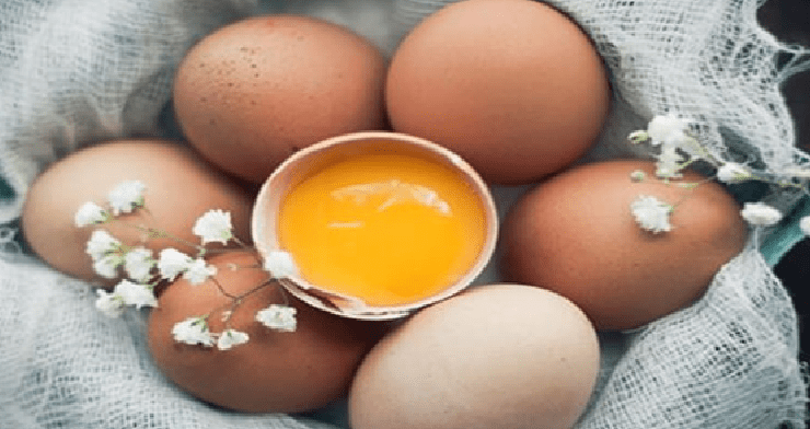 Hàm lượng dinh dưỡng trong trứng cực kỳ dồi dào