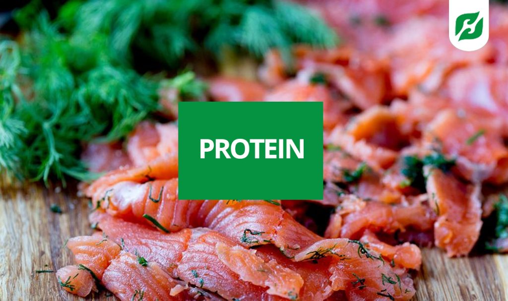 Protein là một chất quan trọng cho cơ thể.