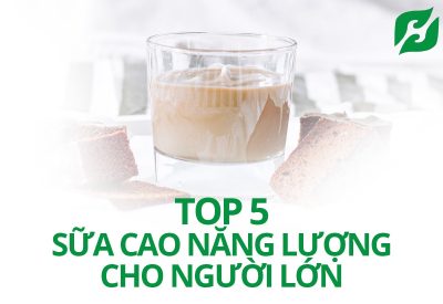 Top 5 Loại Sữa Cao Năng Lượng Cho Người Lớn Duy Trì Sức Khỏe