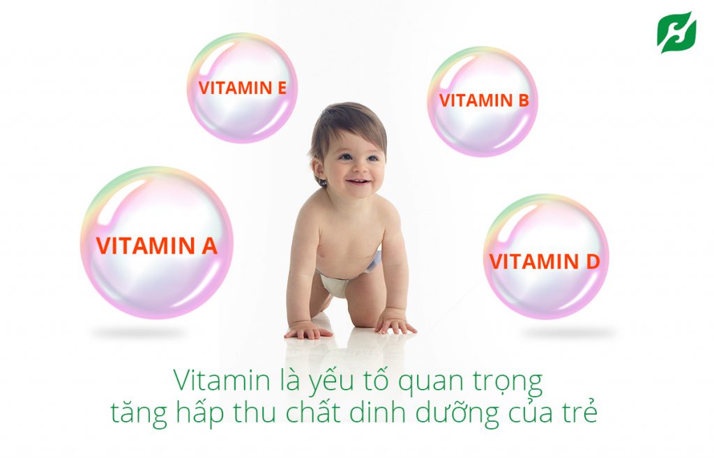 Vitamin là yếu tố quan trọng tăng hấp thu chất dinh dưỡng của trẻ