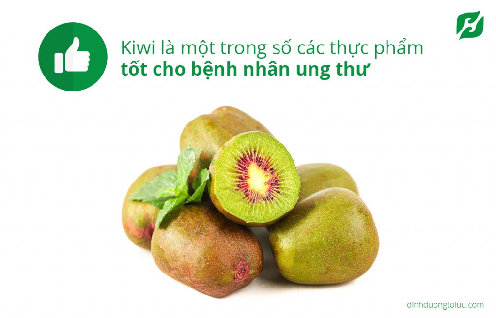 Kiwi là một trong số các thực phẩm tốt cho bệnh nhân ung thư
