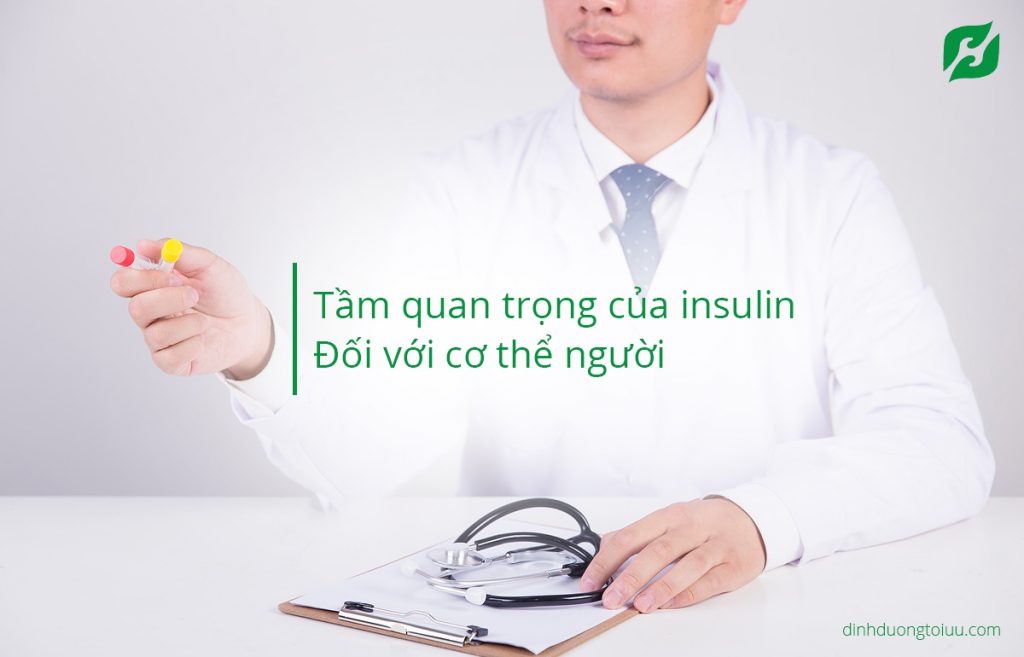 Tầm quan trọng của insulin đối với cơ thể người