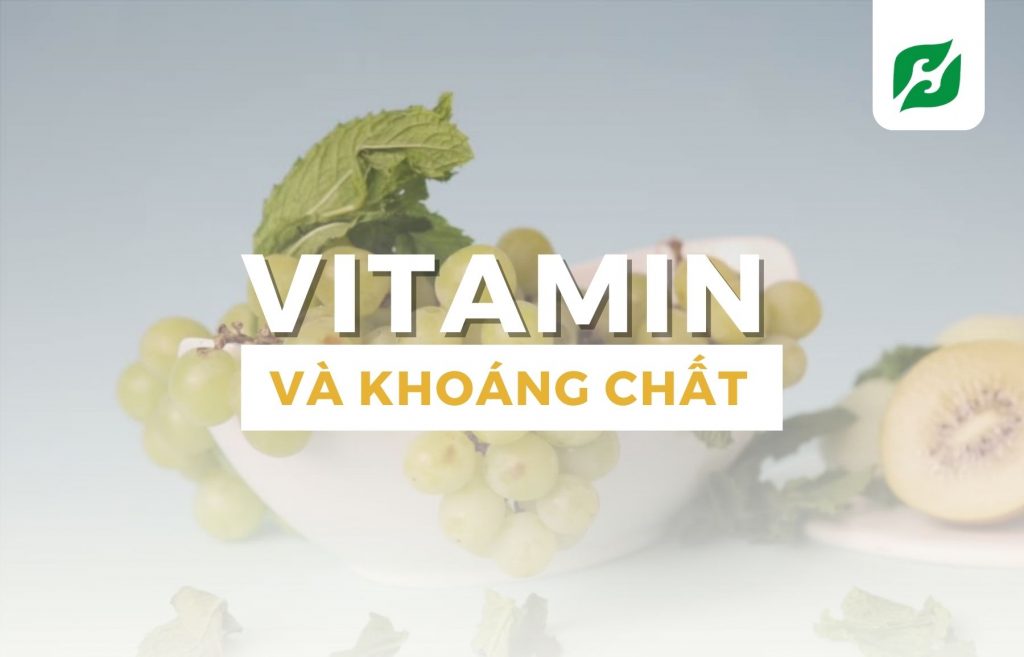 Các loại vitamin – khoáng chất