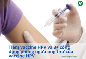 Read more about the article Tiêm vaccine HPV và 3+ công dụng phòng ngừa ung thư của vaccine HPV