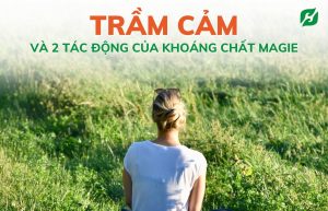 Read more about the article Trầm Cảm Và 2 Tác Động Của Khoáng Chất Magie