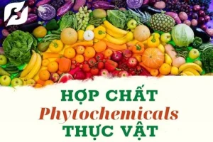 Read more about the article Phytochemical là gì? “Ăn cầu vồng” – Hợp chất thực vật để đạt lợi ích cho sức khỏe
