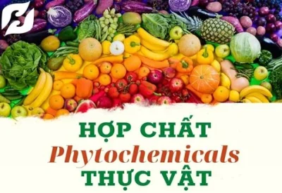 Phytochemical là gì? “Ăn cầu vồng” – Hợp chất thực vật để đạt lợi ích cho sức khỏe