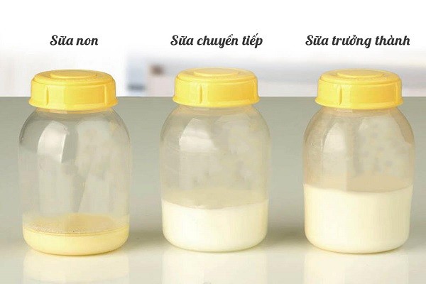 Sữa Colosbaby Bio Gold có tốt không - Miễn dịch khỏe, Tiêu hóa tốt