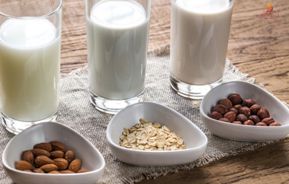 5 Loại Sữa Dành Cho Người Đau Dạ Dày Tốt Được Khuyên Dùng