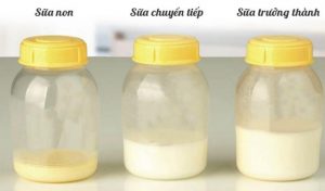 Sữa non là gì? Sữa non có tác dụng gì đặc biệt cho bé?