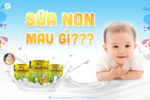 Read more about the article  Sữa non màu gì? Dinh dưỡng mà sữa non mang lại cho trẻ nhỏ