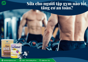 Read more about the article Top 3+ Sữa cho người tập gym tốt nhất 2023