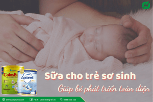 Top 3 loại sữa cho trẻ sơ sinh giúp bé phát triển toàn diện