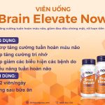 Viên uống Brain Elevate Now – Tăng cường tuần hoàn máu não, giảm đau đầu chóng mặt, rối loạn tiền đình