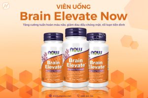 Brain Elevate Now giá bao nhiêu?