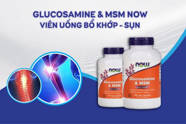 Glucosamin & MSM Now