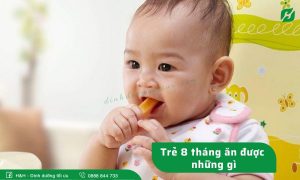 Trẻ 8 tháng ăn được những gì? Những loại sữa phát triển toàn diện cho trẻ