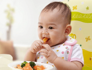 Trẻ 8 tháng ăn được những gì