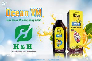 Read more about the article Nên mua Ocean VM ở đâu uy tín, chất lượng?