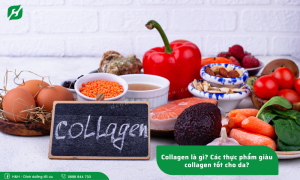 Collagen là gì? Các thực phẩm giàu collagen tốt cho da?