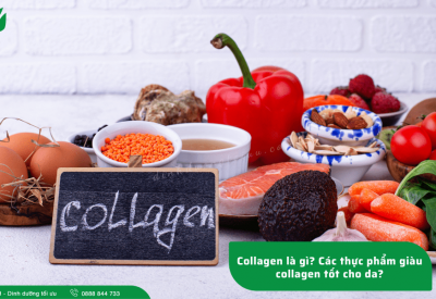 Collagen là gì? Các thực phẩm giàu collagen tốt cho da?