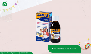Siro bổ sung vitamin và khoáng chất cho trẻ – Wellkid mua ở đâu?