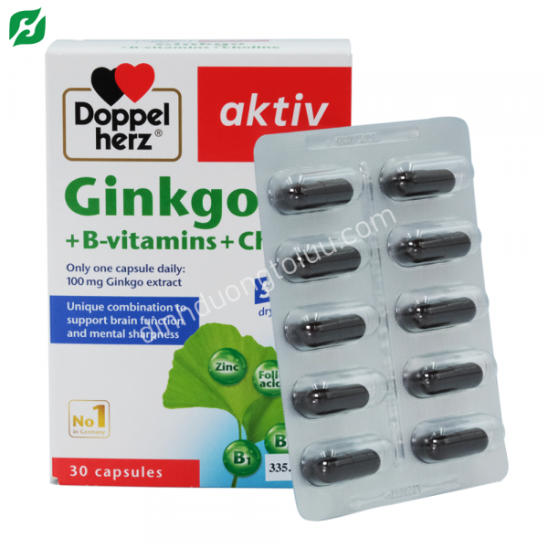 Doppelherz Ginkgo + Vitamin B + Choline