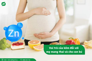 Read more about the article Bổ sung kẽm cho mẹ mang thai và cho con bú như thế nào?