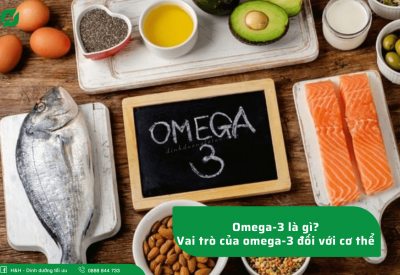 Top 3 thực phẩm bổ sung Omega 3 tốt cho sức khỏe 