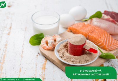 Dị ứng đạm bò và bất dung nạp lactose là gì? Làm sao biết bé bị bất dung nạp lactose?