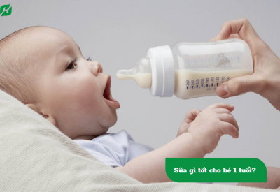 Sữa gì tốt cho bé 1 tuổi? Chế độ dinh dưỡng cho bé 1 tuổi như thế nào?