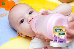 Read more about the article Enfamil A+ Gentle Care Infant Formula mua ở đâu đảm bảo chất lượng?